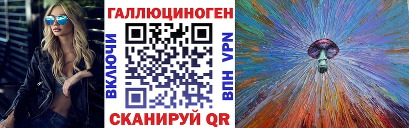 Псилоцибиновые грибы GOLDEN TEACHER  наркота  Северодвинск 